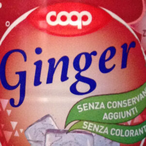 Ginger Coop